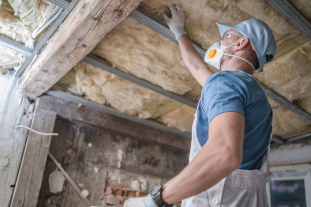 Best Insulation for Specific Applications in Dixon Lane Meadow Creek, CA