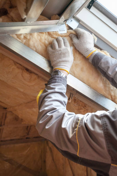 Best Insulation Installation Services in Dixon Lane Meadow Creek, CA