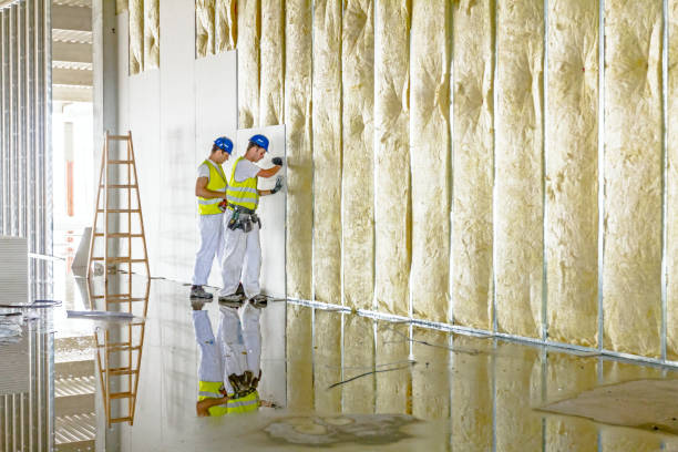Best Types of Insulation in Dixon Lane Meadow Creek, CA